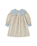 Agrima dress