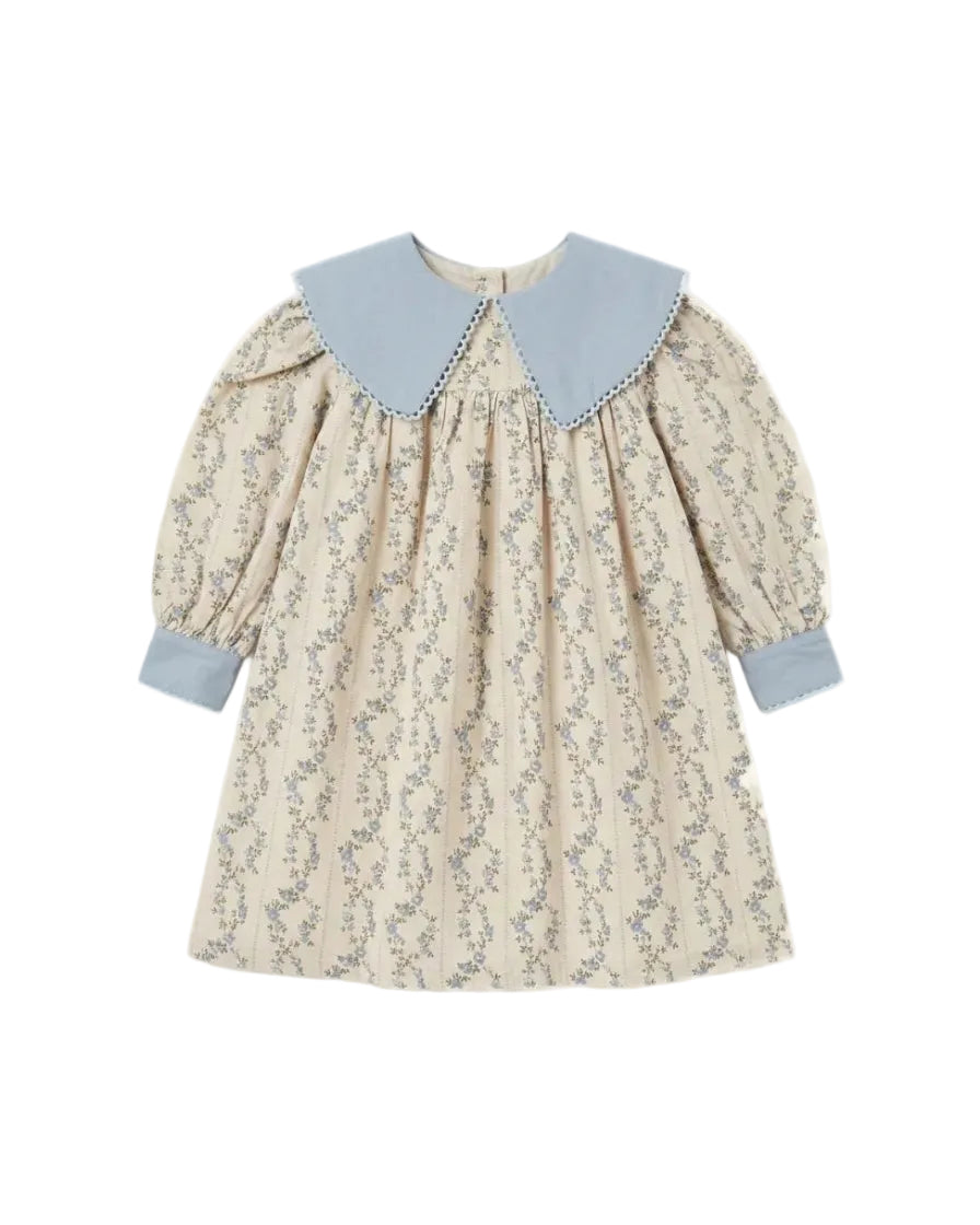 Agrima dress